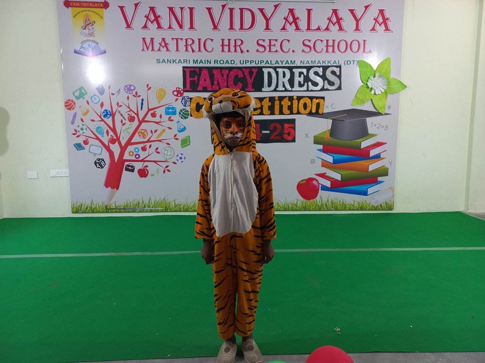 Fancy Dress Competition (II- Std) - 2024-25